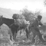 Foto-8.-Cargando-sacos-en-el-burro-440x440